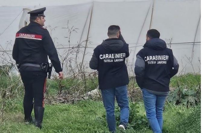 Ispezione dei carabinieri del Nas in un’azienda agricola, attività sospesa
