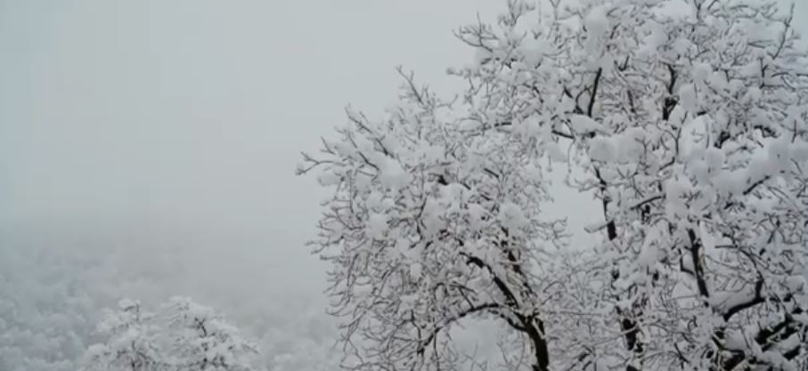 Arriva il freddo polare, temperature in calo