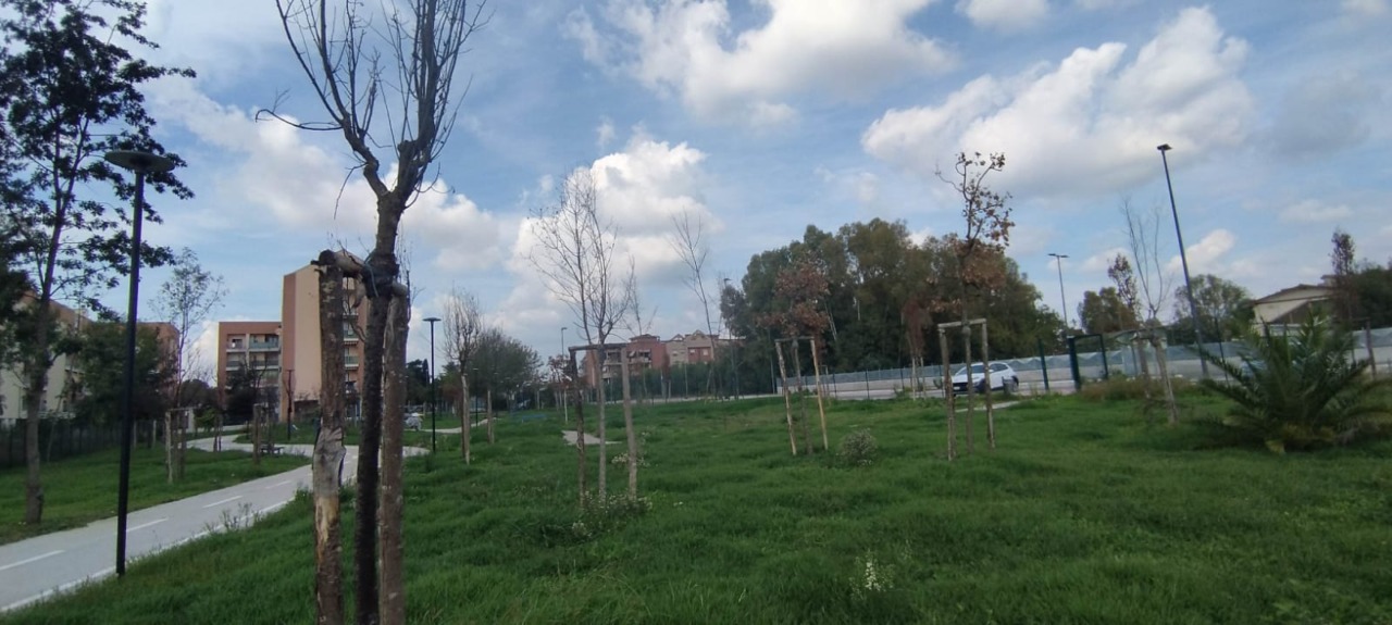 Il comune inaugura, ma non cura. LBC: “Il paradosso del verde pubblico”