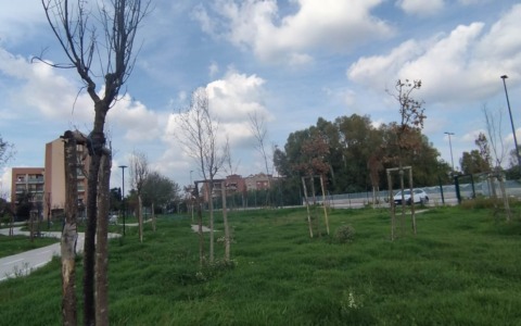 Il comune inaugura, ma non cura. LBC: “Il paradosso del verde pubblico”