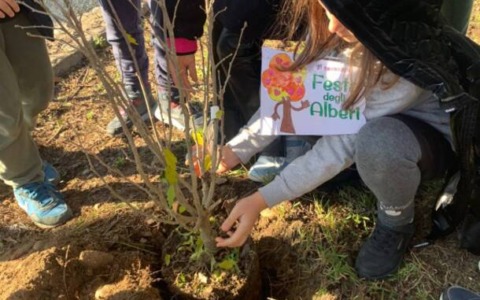 Sermoneta celebra la Giornata dell’Albero