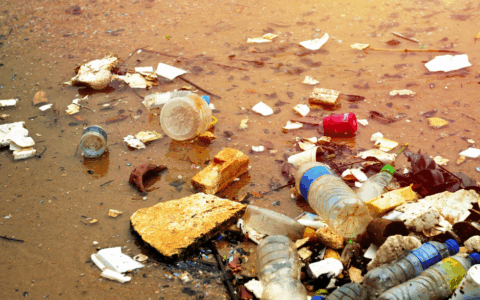 Inquinamento del fiume Sacco, assolti AeA e Consorzio industriale