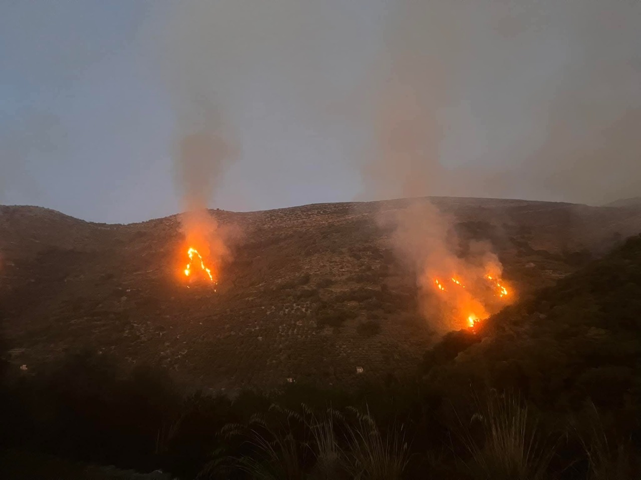 In fiamme ettari di macchia mediterranea a Monte Romano