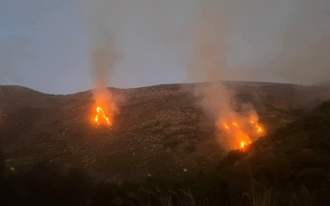 In fiamme ettari di macchia mediterranea a Monte Romano