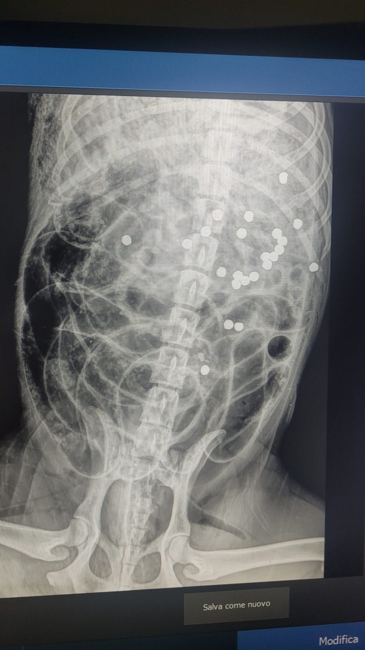 Cane ucciso da un colpo di fucile, intervengono le associazioni