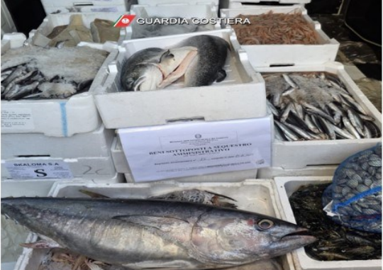 Maxi sequestro di pesce privo di etichettatura. Operazione della Guardia Costiera