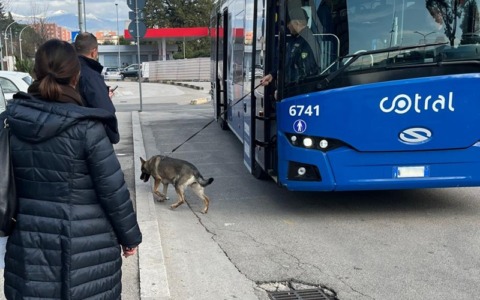 Spaccio di droga vicino alle scuole, controlli della polizia a Frosinone e Cassino