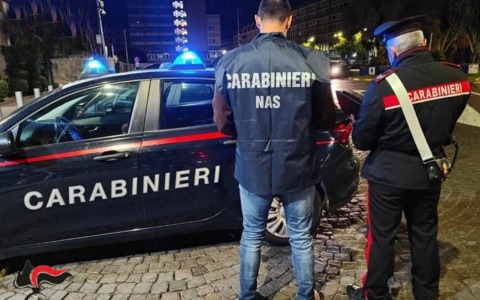 Prodotti dolciari natalizi e pesce, i sequestri dei Carabinieri del Nas