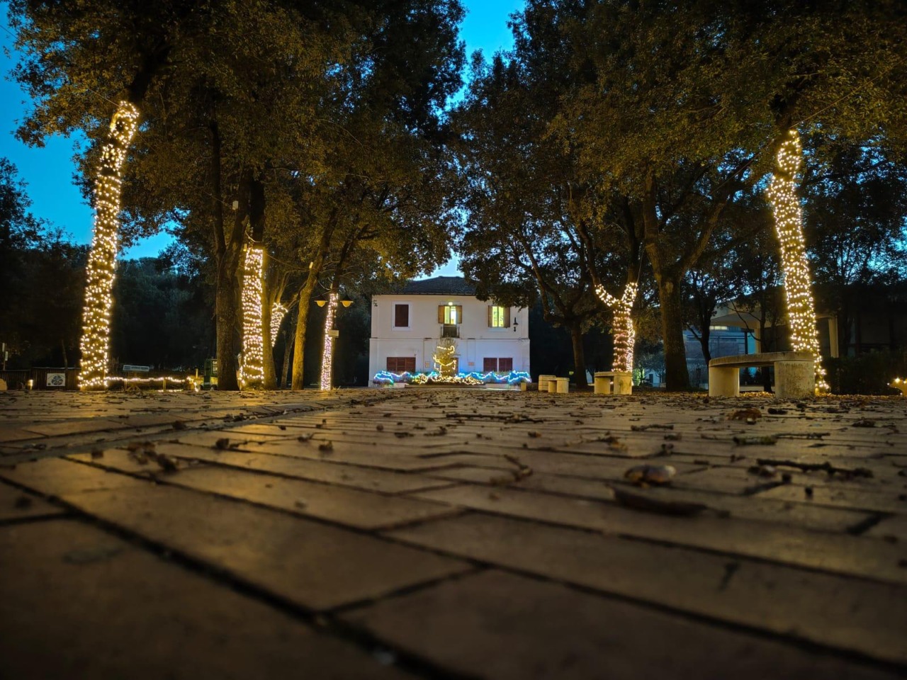 Natale al Parco Nazionale del Circeo, le iniziative. Sabato 6 dicembre l’inaugurazione