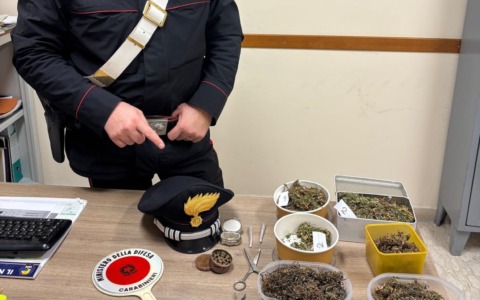 Marijuana nei recipienti di plastica, denunciato un uomo