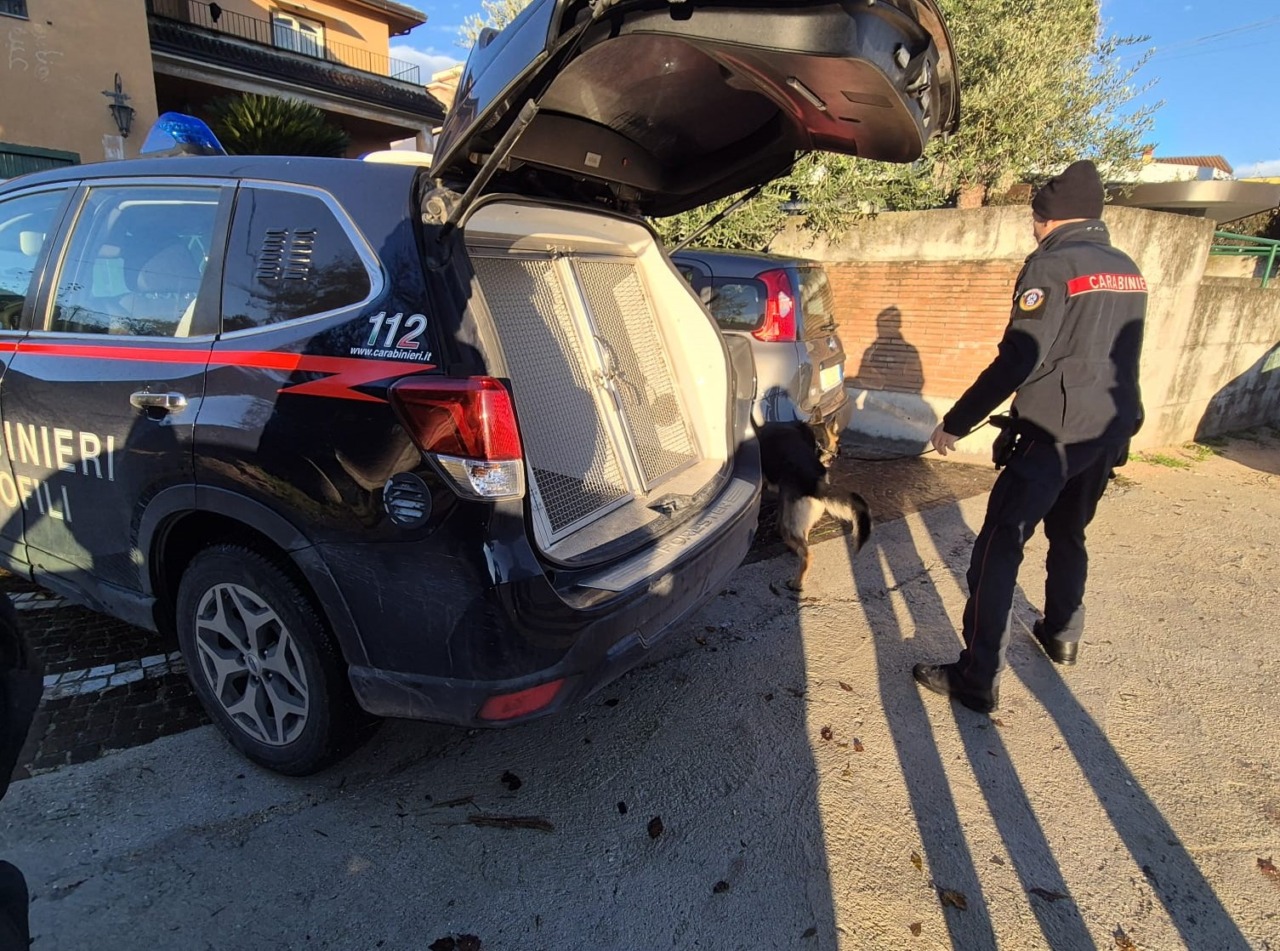 Controlli nel weekend: denunce, segnalazioni per droga e chiusura di un locale