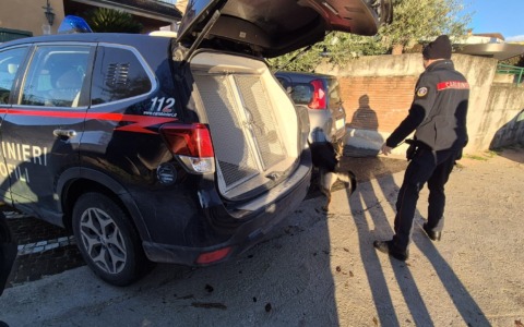 Controlli nel weekend: denunce, segnalazioni per droga e chiusura di un locale