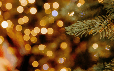 Un pomeriggio di magia natalizia per bambini e famiglie