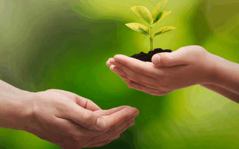 Nuovi contributi per progetti green e tutela del territorio