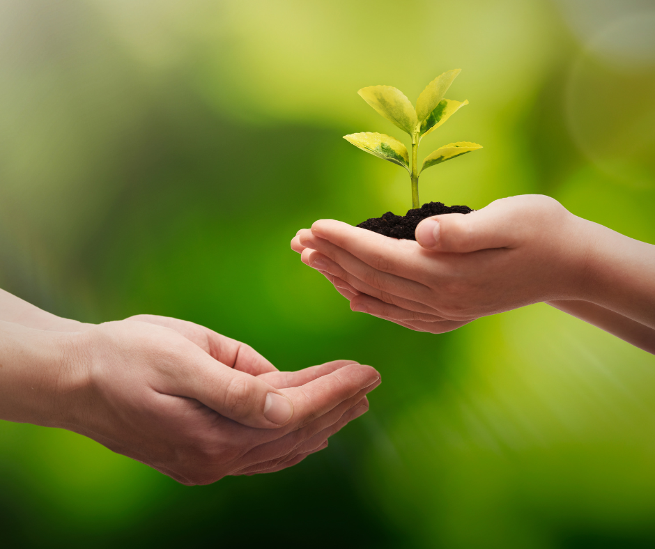 Nuovi contributi per progetti green e tutela del territorio