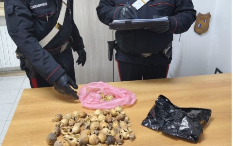 Trovato con 20 bulbi di papavero, denunciato un indiano