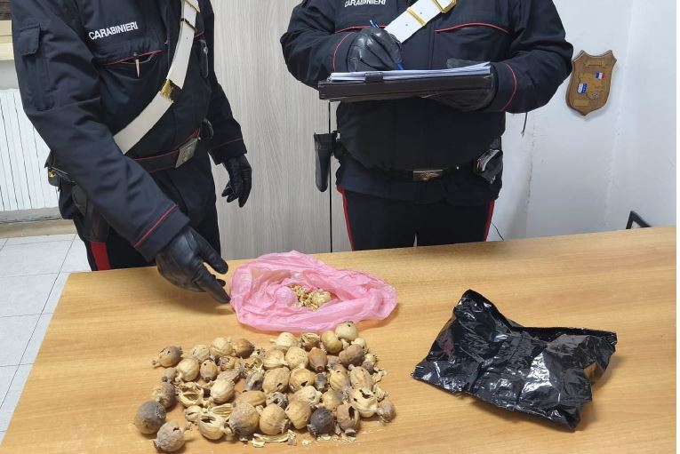 Trovato con 20 bulbi di papavero, denunciato un indiano