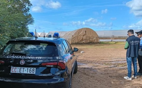 Lavoratori senza permesso di soggiorno nell’allevamento, denuncia e 20 mila di multa