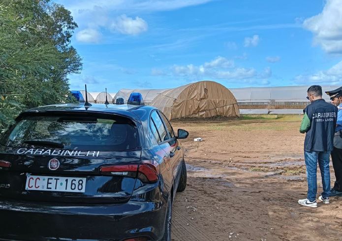 Lavoratori senza permesso di soggiorno nell’allevamento, denuncia e 20 mila di multa