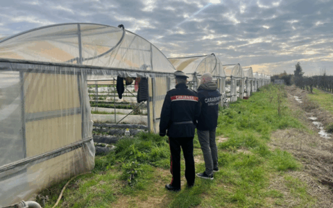 Lavoratori in nero, sospesa azienda agricola e maxi sanzione da 45 mila euro
