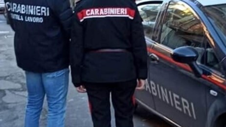 Sicurezza sul lavoro, denunciato un apicoltore di Roma