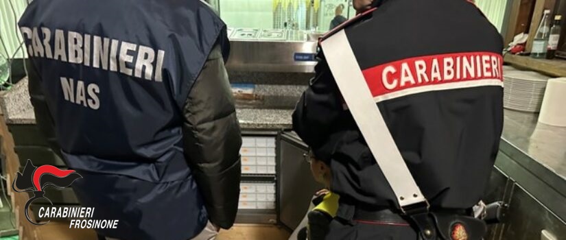 Controlli nei bar e ristoranti, riscontrate irregolarità da carabinieri e Nas