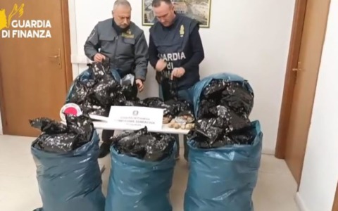 Trovato con 15 mila bulbi di papavero da oppio, arrestato