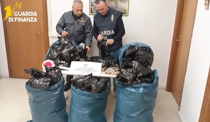 Trovato con 15 mila bulbi di papavero da oppio, arrestato