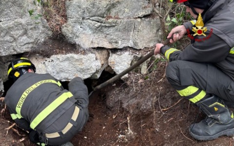 Salvati i due cani caduti nella cavità carsica. Le operazioni di recupero durate cinque giorni