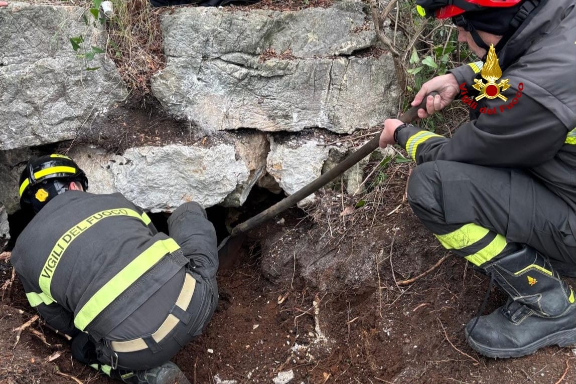 Salvati i due cani caduti nella cavità carsica. Le operazioni di recupero durate cinque giorni