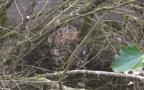 Masso sulla Cassino-Formia: la superstrada resta chiusa, attesa per il test con i rocciatori