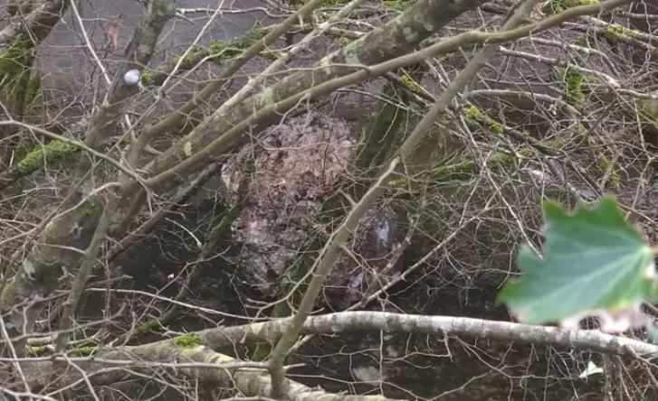 Cade masso sulla superstrada, il prefetto chiude la Cassino-Formia