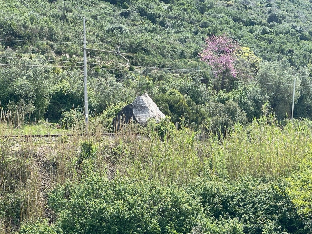 Messa in sicurezza di Monte Cucca, al via la Conferenza dei Servizi