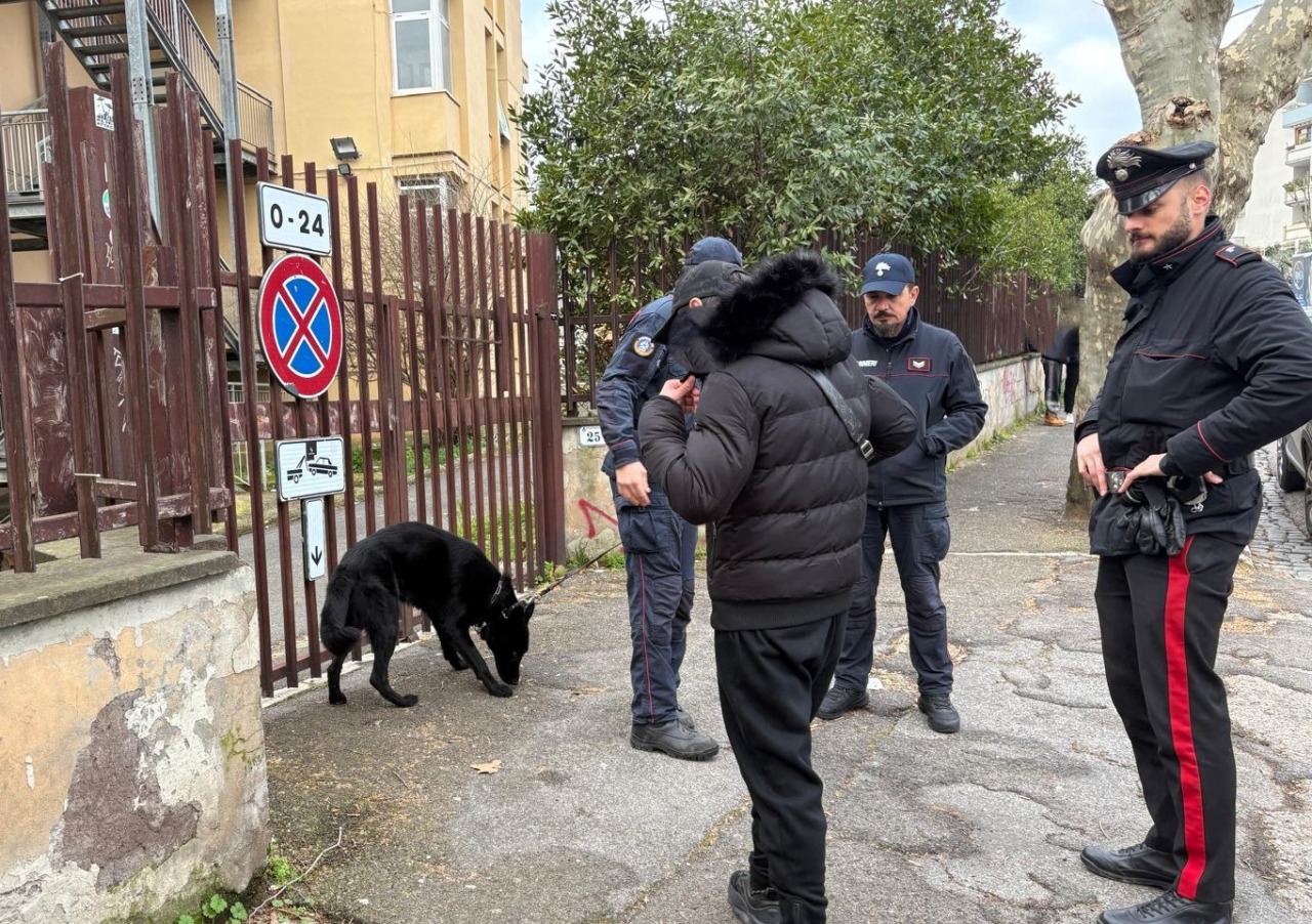 Spaccio di droga e criminalità, denunce e sequestri