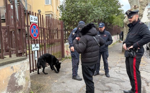 Spaccio di droga e criminalità, denunce e sequestri
