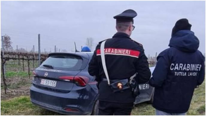 Lavoratori in nero nell’azienda agricola, denunciato un imprenditore