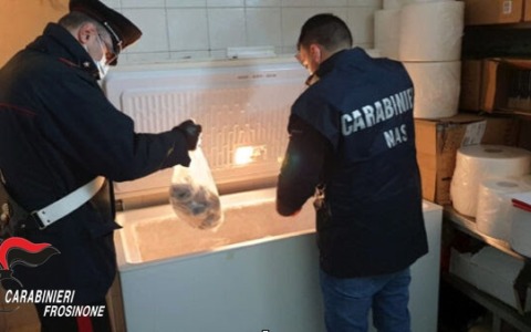 Controlli dei Nas, chiusa una macelleria e sequestrati 150 chili di carne