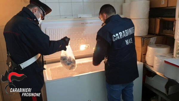 Controlli dei Nas, chiusa una macelleria e sequestrati 150 chili di carne