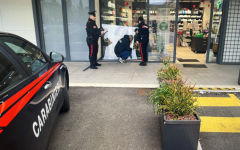 Furto in farmacia nella notte con l’auto ariete