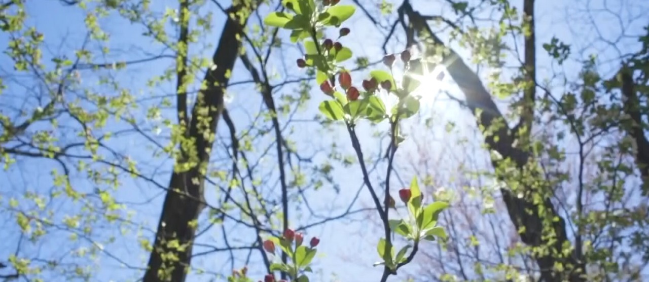 Temperature oltre la media, attenzione a nebbie e valanghe in alta quota