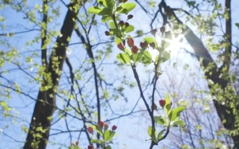 Temperature oltre la media, attenzione a nebbie e valanghe in alta quota