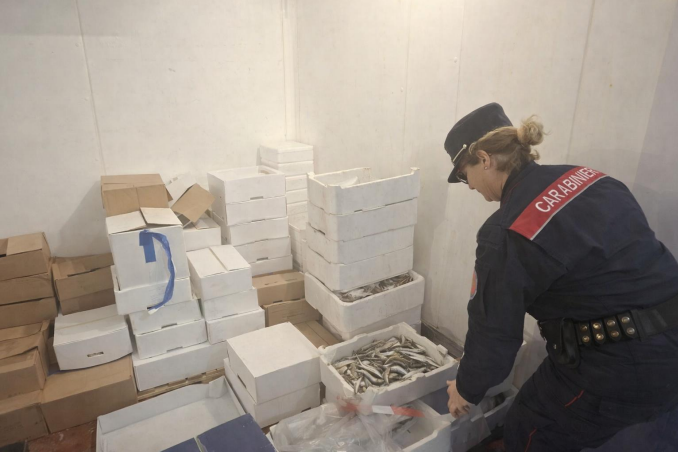 Maxi sequestro di pesci e molluschi senza tracciabilità in pescheria