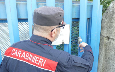 Sequestrato stabilimento senza autorizzazioni dai Carabinieri Forestali