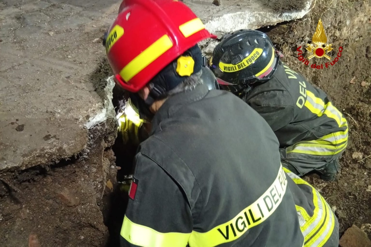 I Vigili del Fuoco liberano un cane intrappolato in un condotto idrico