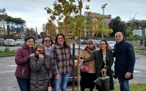 Depavimentazione del Piazzale dei Mercanti, la denuncia del Movimento 5 Stelle