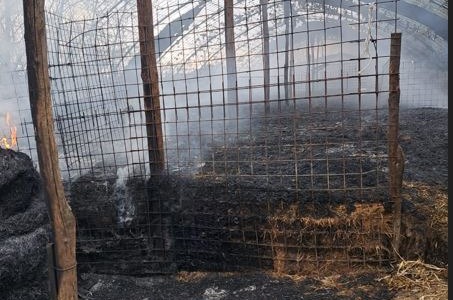 Incendio distrugge una stalla, morti 80 ovini