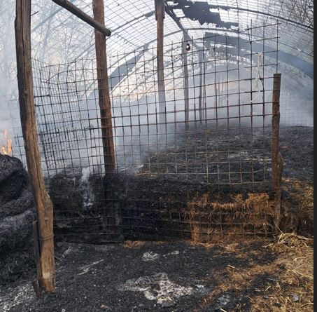 Incendio distrugge una stalla, morti 80 ovini