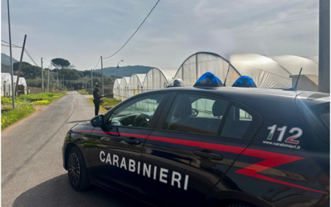 Lavoratori in nero nell’azienda agricola, sospesa l’attività