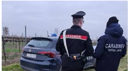 Igiene e sicurezza, denunciato il titolare di un’azienda agricola