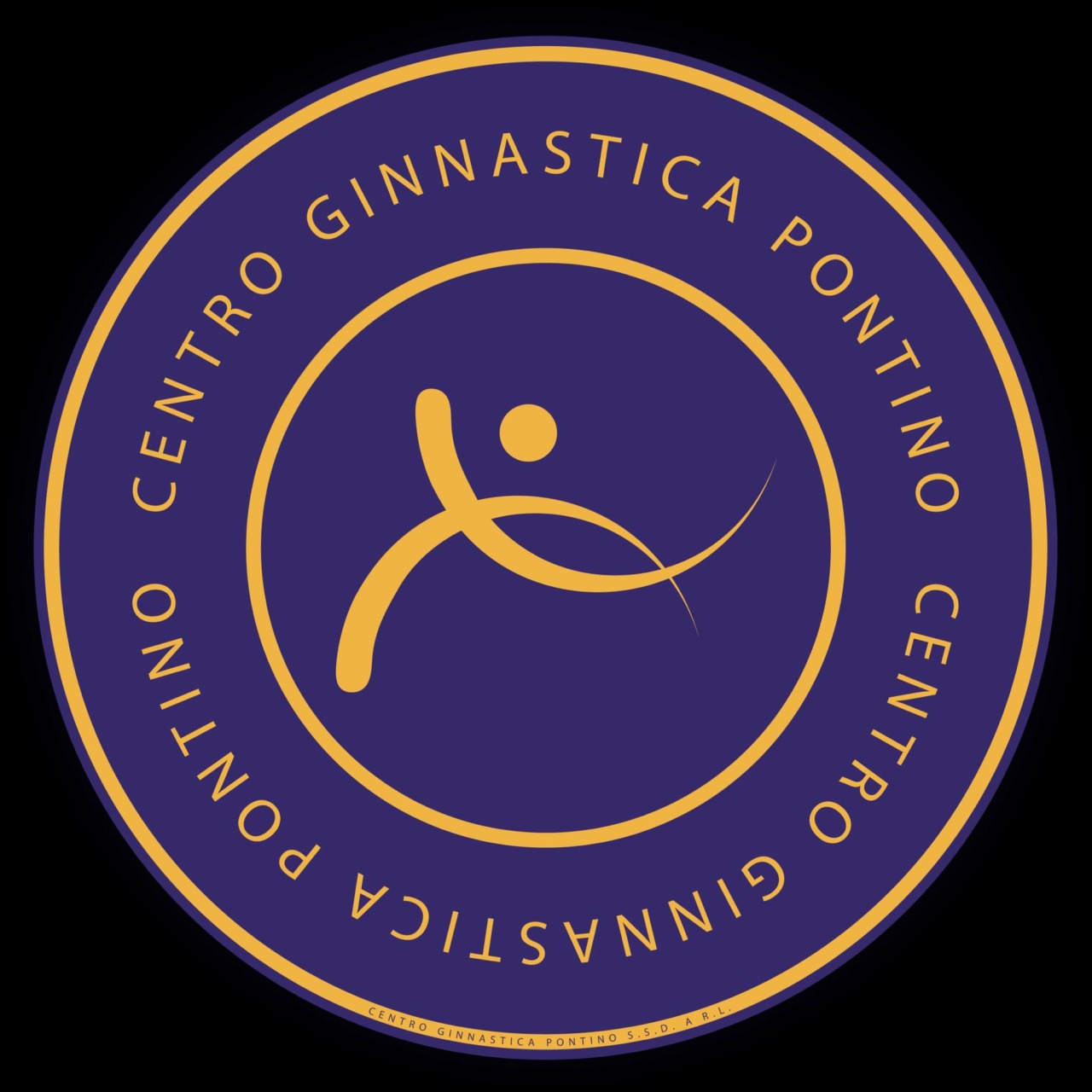 Prestazioni in chiaroscuro per il Centro Ginnastica Pontino